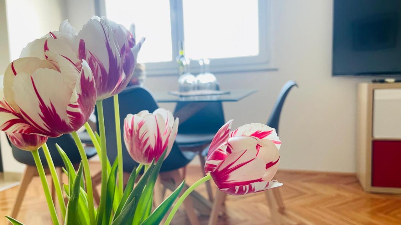 Apartment Iva Rijeka Eksteriør bilde